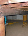 Mold and rot thriving in a dirt floor crawl space in Reno