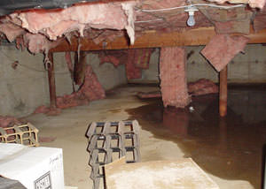 Fiberglass dripping off of the ceilings of a South Lake Tahoe crawl space