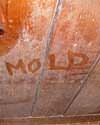 The word mold written with a finger on a moldy wood wall in Dayton