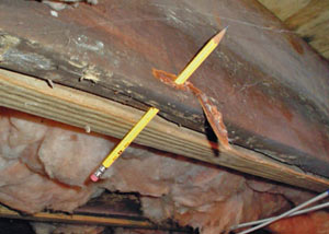Destroyed crawl space structural wood in Glenbrook