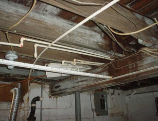a humid basement overgrown with mold and rot in Virginia City